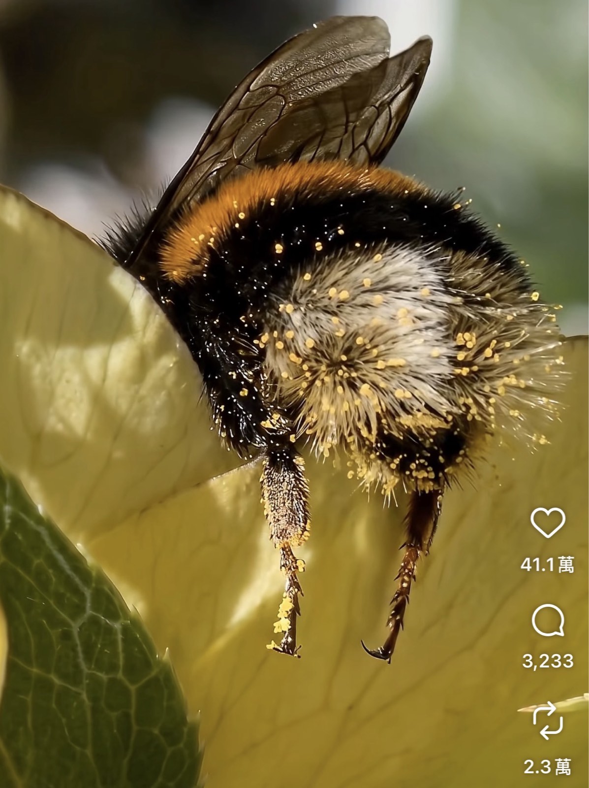 Featured image of post 有養分才會長出來的愛