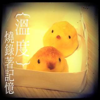 Featured image of post 小雞對