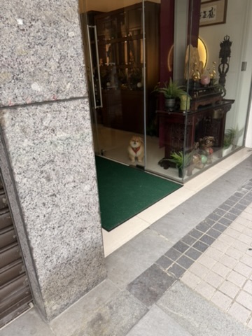 Featured image of post 優雅
