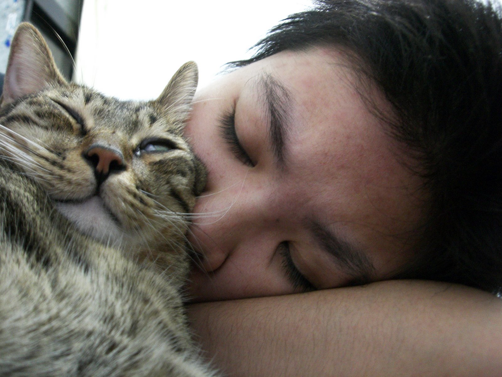 Featured image of post 疲倦