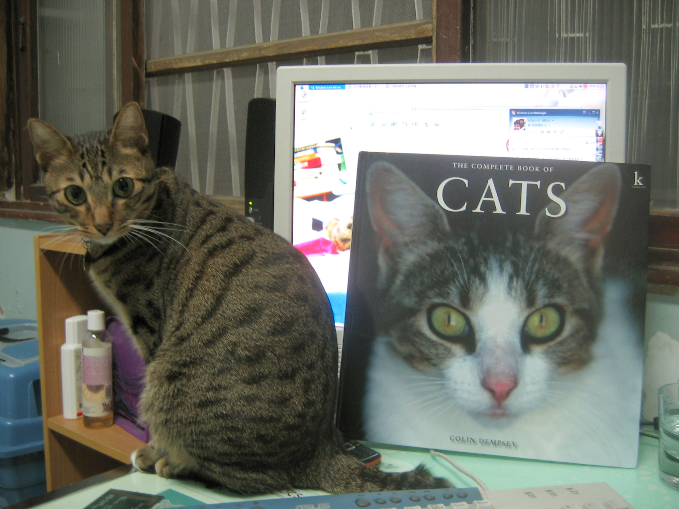 Featured image of post 禮物書