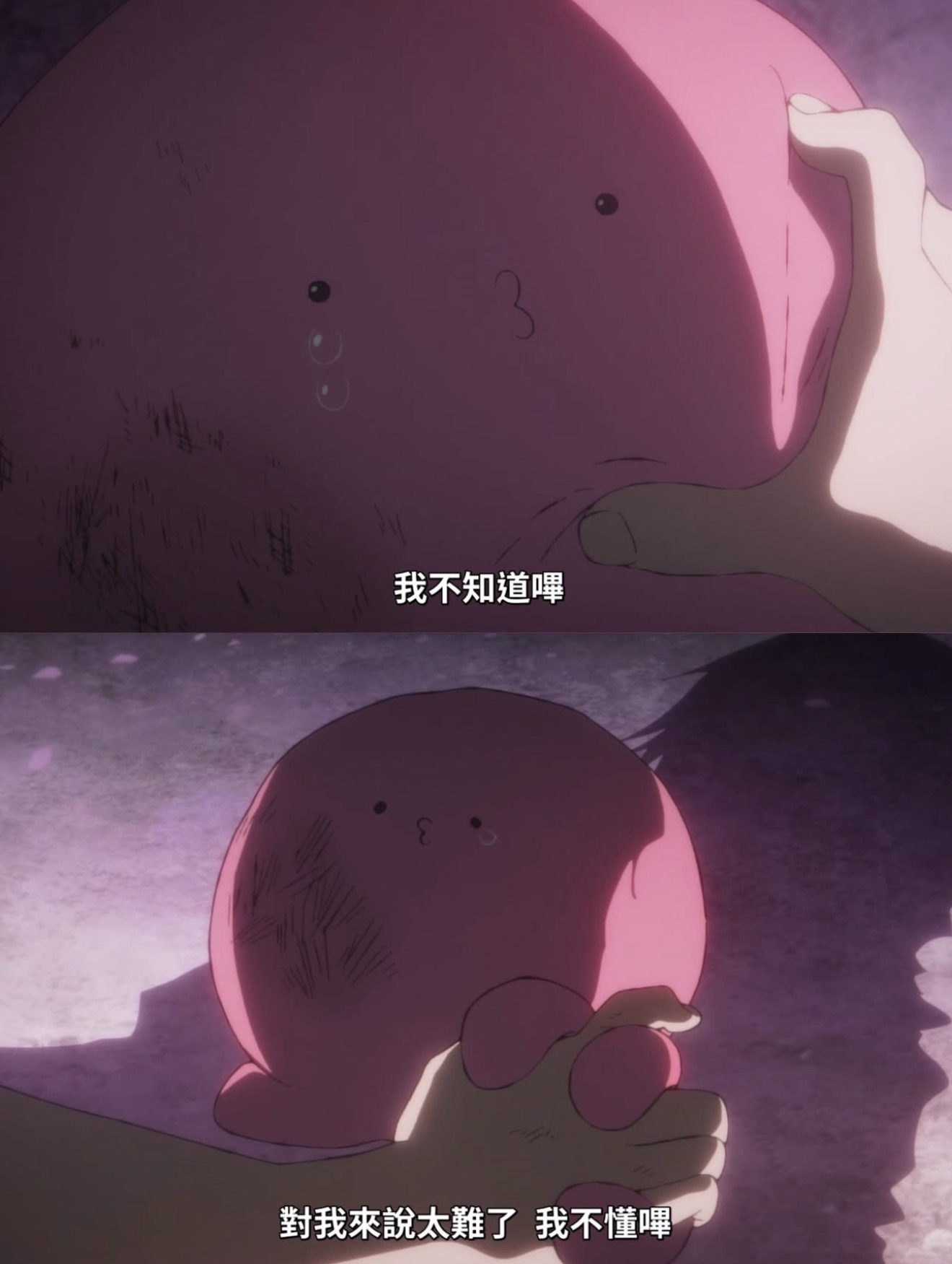 Featured image of post 章魚嗶