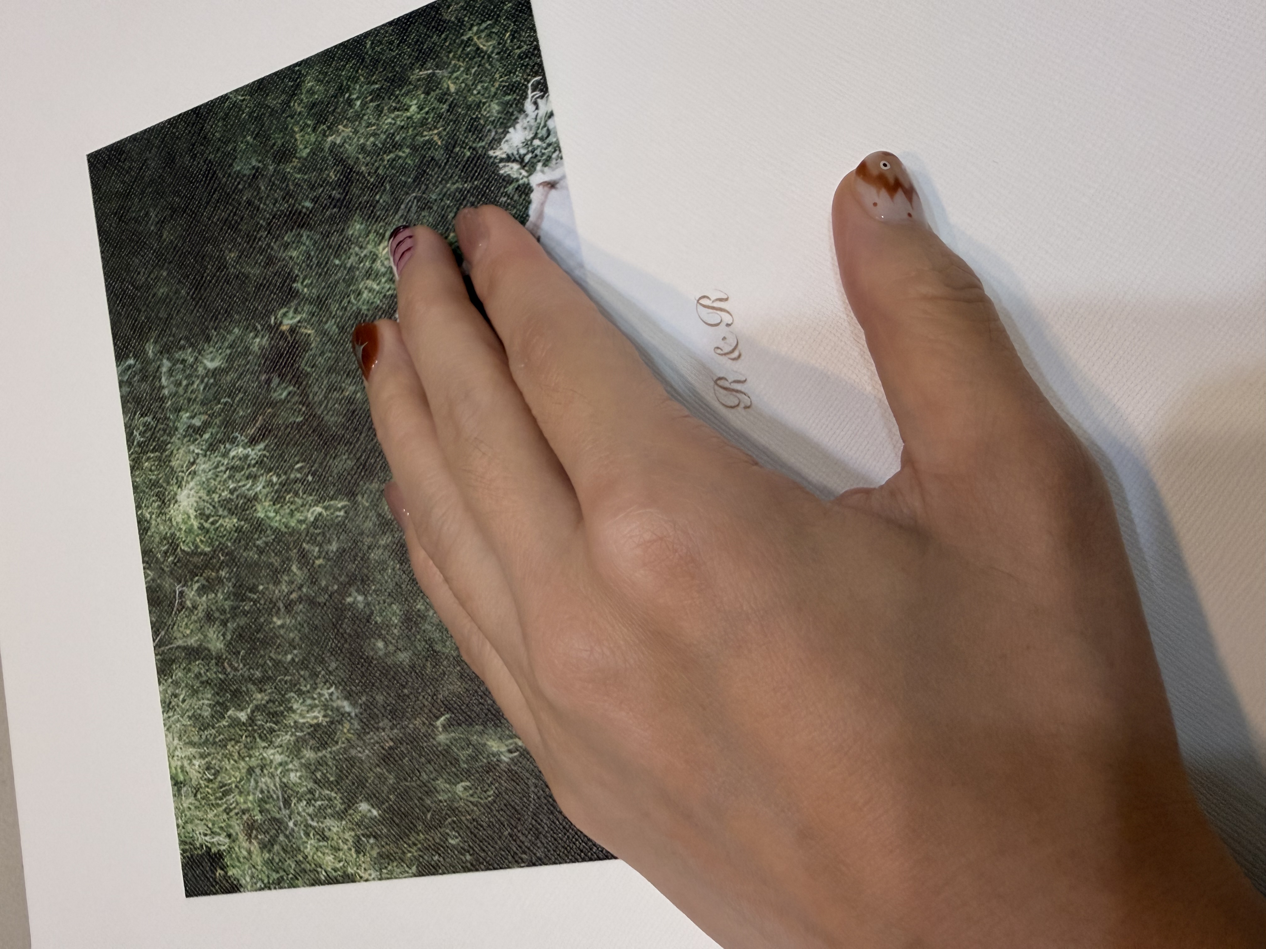 Featured image of post 接到你的通道