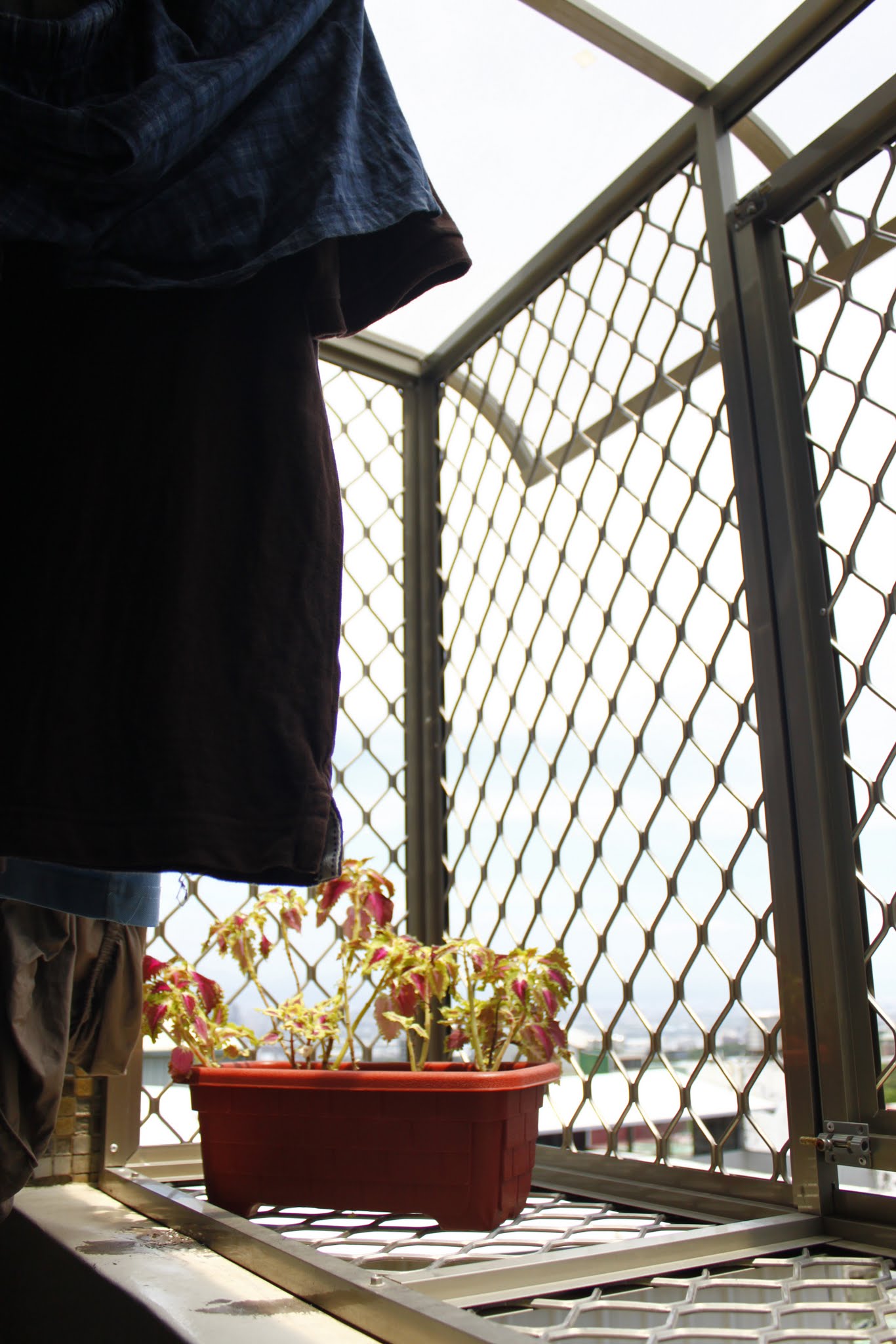 Featured image of post 居簡易；度日豐。