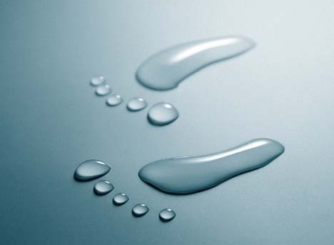 Featured image of post IR 501