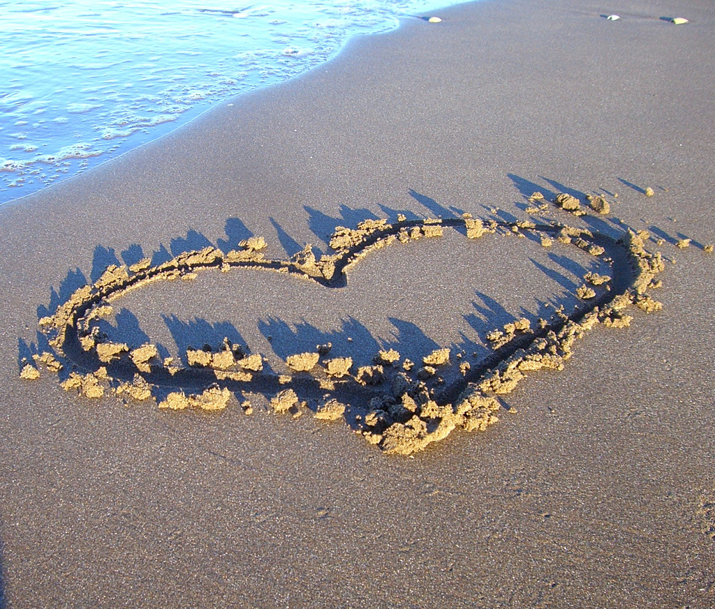 Featured image of post 上班前的陽島之戀