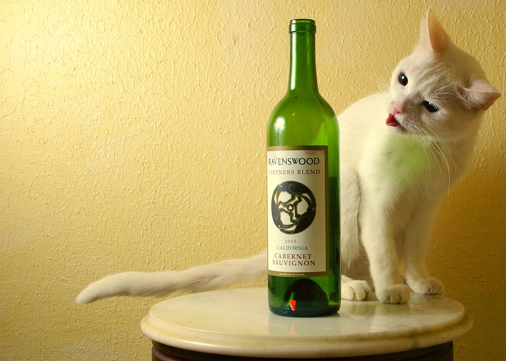 Featured image of post 夏日雜記