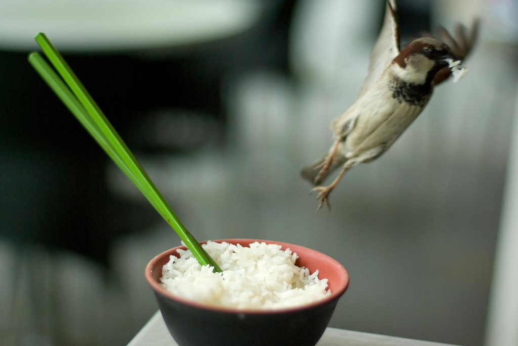 Featured image of post 為五斗米扭腰