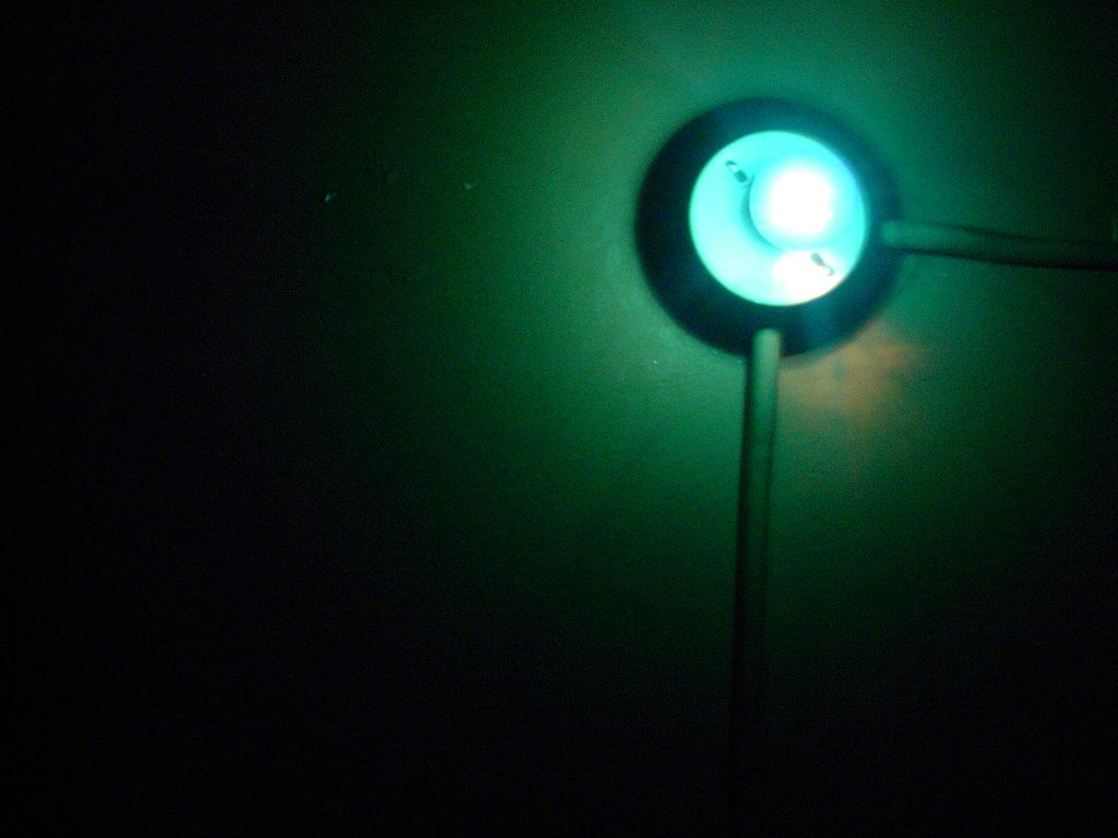 Featured image of post 自利自強