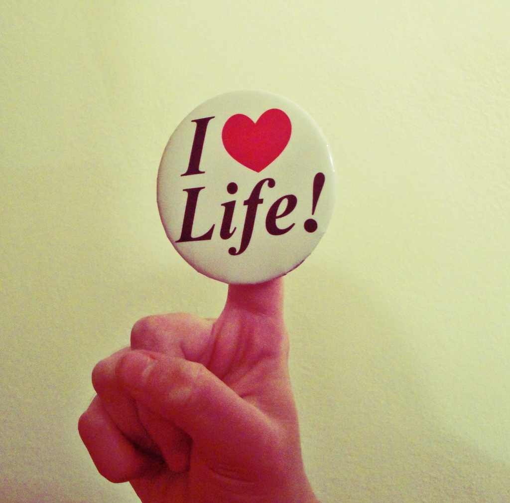 Featured image of post 清明節的小確幸