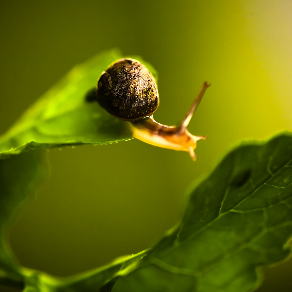 Featured image of post 想多做多逐一擊破