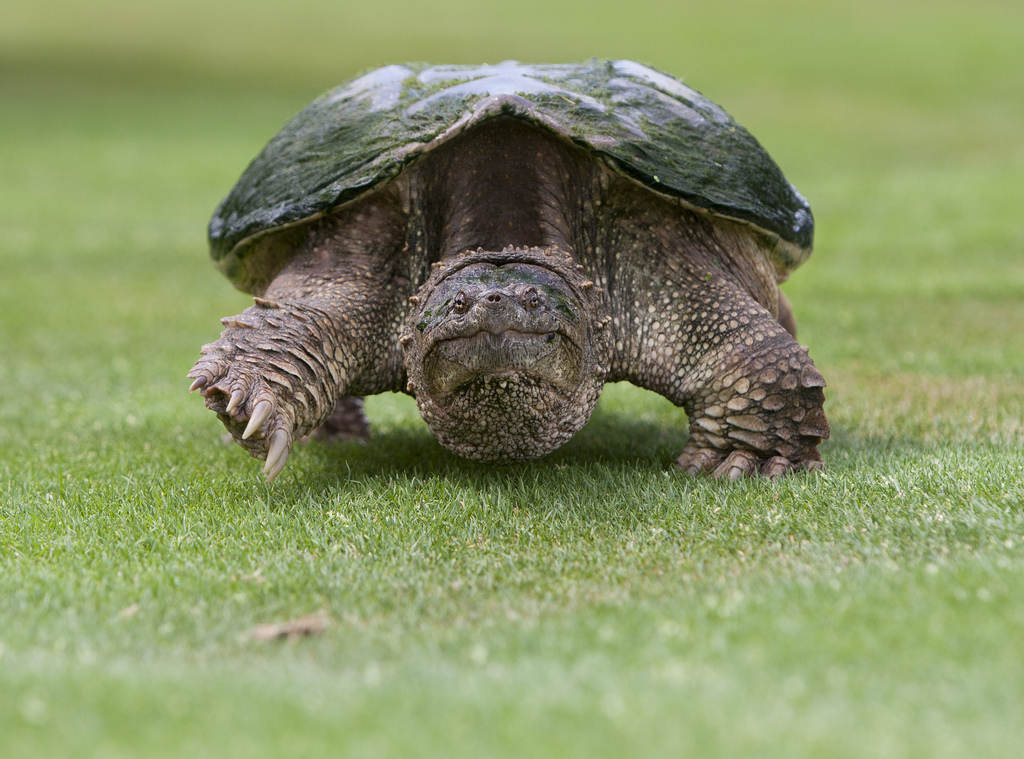 Featured image of post 歸路人生