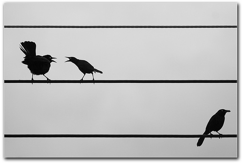 Featured image of post 失焦討論術