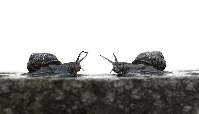 Featured image of post 末日之戀