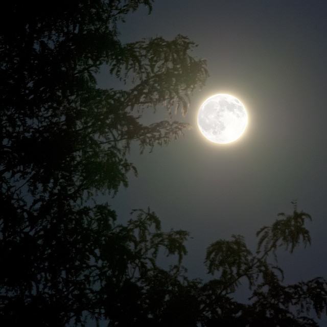 Featured image of post 中秋圓人團圓