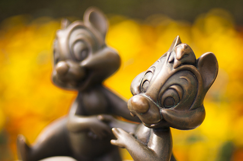 Featured image of post 天眞花栗鼠