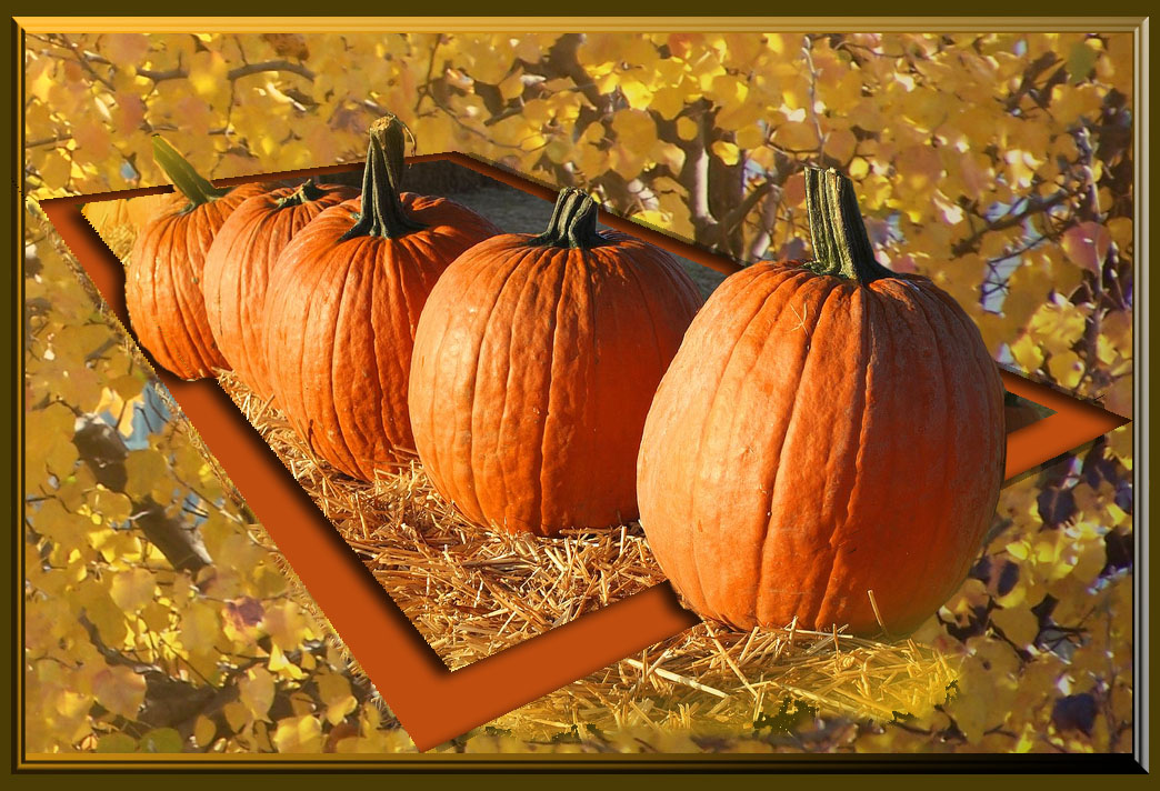 Featured image of post 午涼意