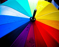 Featured image of post little rainbow protest