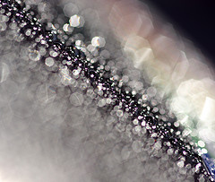 Featured image of post 《孫子兵法－實虛》