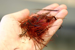 Featured image of post 溫柔設計師