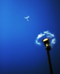 Featured image of post 創作的養分與表現技術