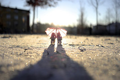 Featured image of post ordinary life