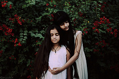 Featured image of post support