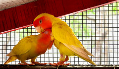 Featured image of post [   ]