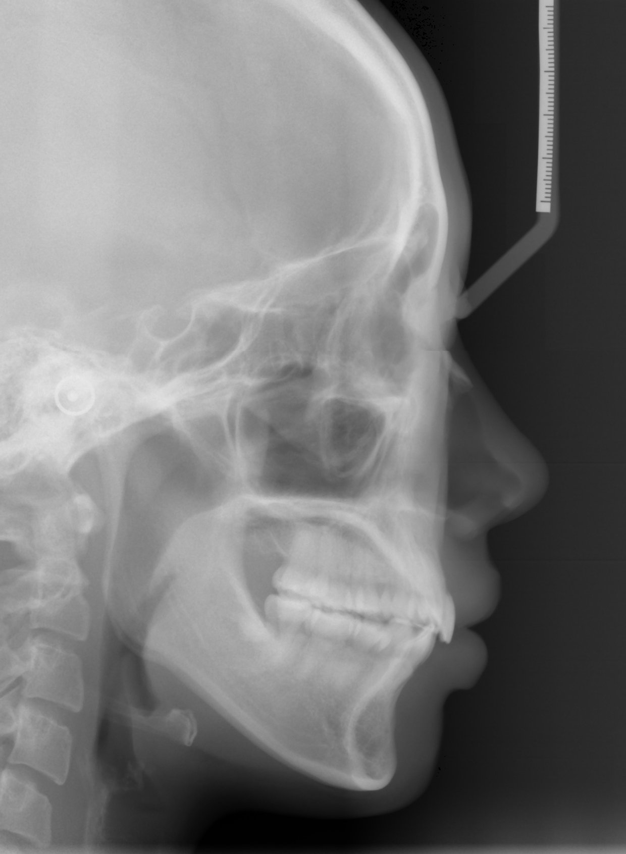 Featured image of post 陪診一日遊